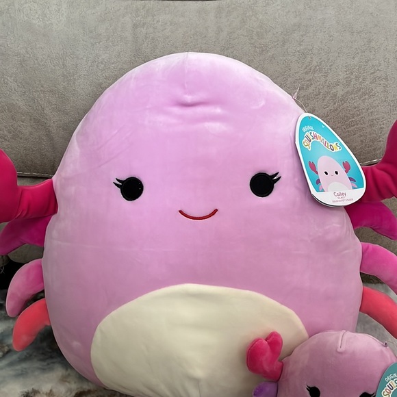 π¦ OG Squishmallows CAILEY 2020 14β with 5β Cailey 2023- both NWT & HTF - Picture 5 of 6